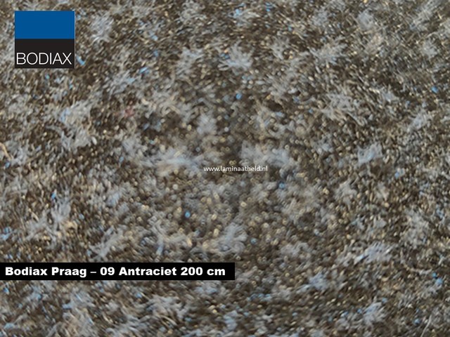 Bodiax Praag schoonloopmat - 09 Antraciet 200 cm
