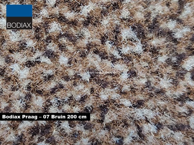 Bodiax Praag schoonloopmat - 07 Bruin 200 cm