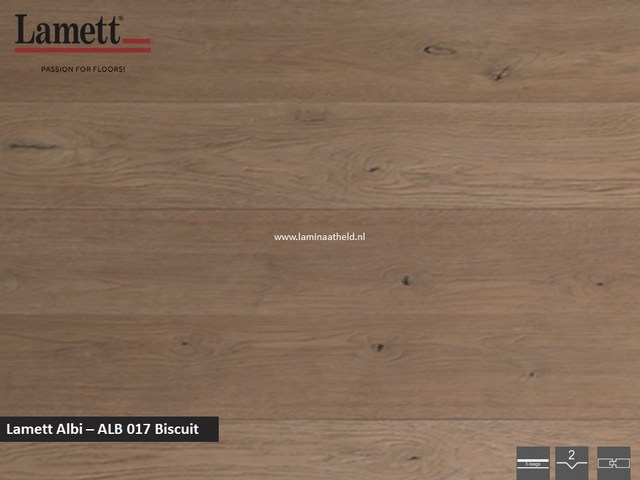 Lamett Albi - Biscuit ALB017