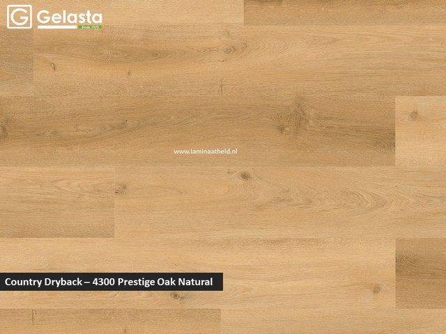 Gelasta Country dryback - 4300 Prestige Oak Natural