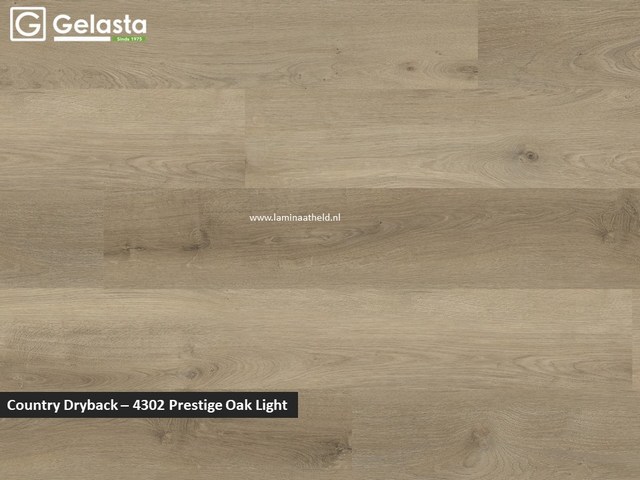 Gelasta Country dryback - 4302 Prestige Oak Light