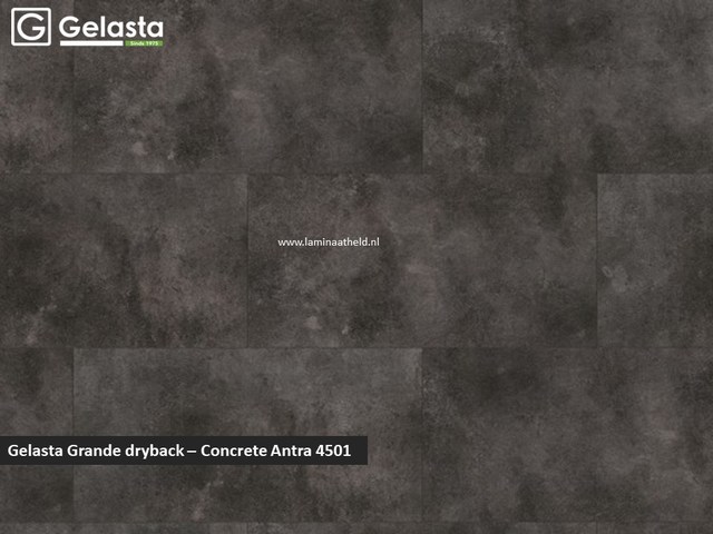 Gelasta Grande dryback - Concrete Antra 4501