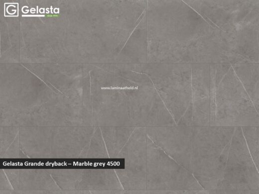Gelasta Grande dryback - Marble Grey 4500