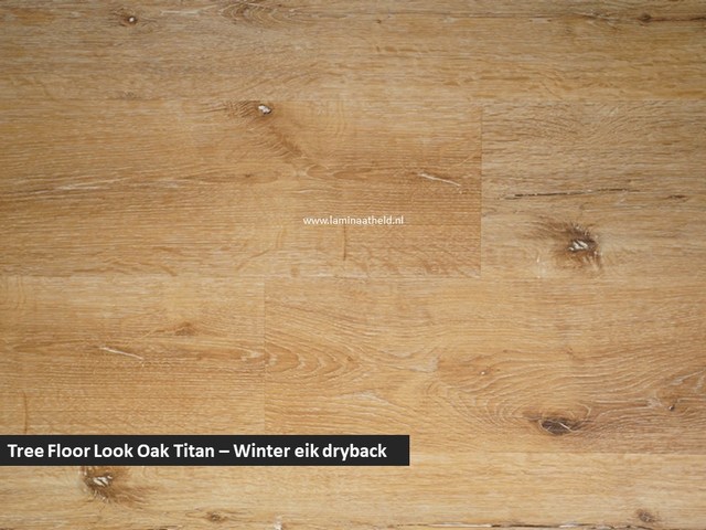 Tree Floor Look Oak Titan dryback - Winter eik