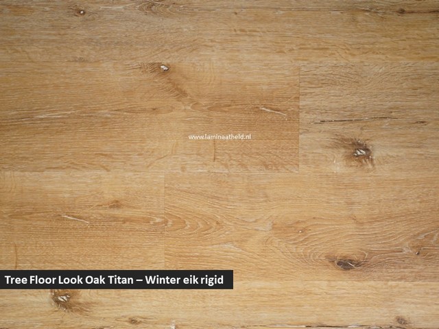 Tree Floor Look Oak Doura Titan - Winter eik