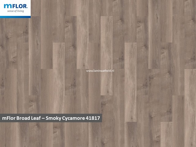 mFlor Broad Leaf - Smokey Sycamore 41817