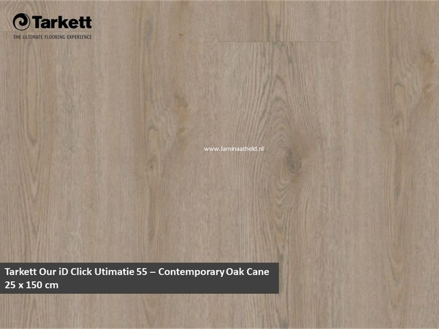 Rigid by Tarkett 55 - Contemporary Oak Cane