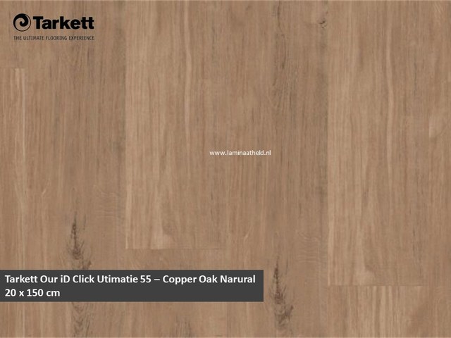 Rigid by Tarkett 55 - Copper Oak Natural